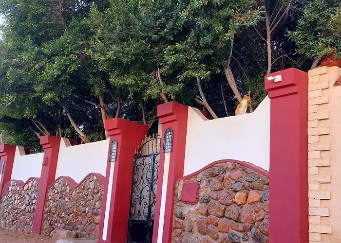 Red Oasis